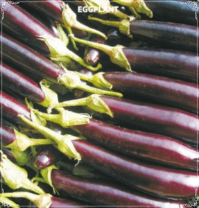 long batinjan  Around 4KG