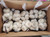 SUPER GARLIC 700G